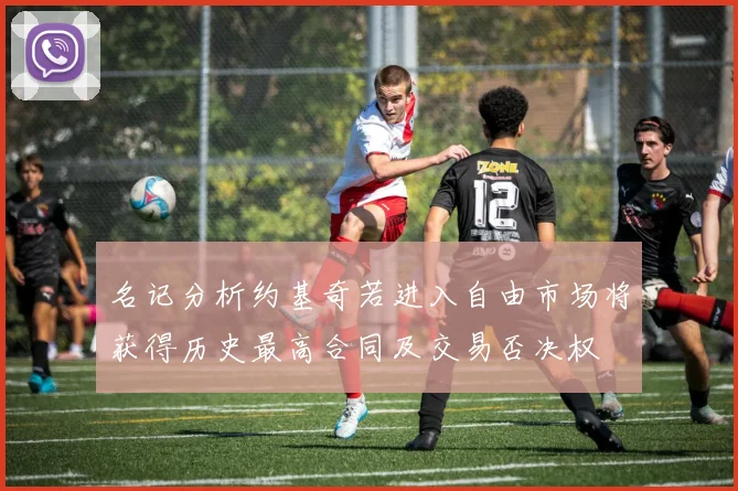 名记分析约基奇若进入自由市场将获得历史最高合同及交易否决权