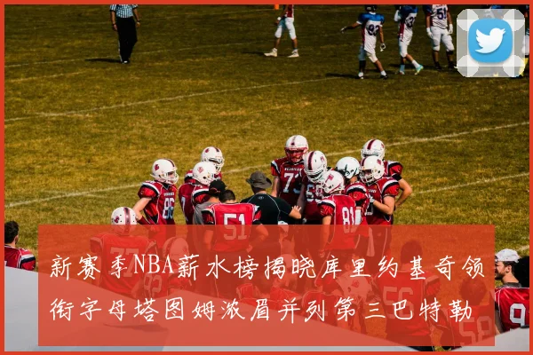 新赛季NBA薪水榜揭晓库里约基奇领衔字母塔图姆浓眉并列第三巴特勒排名第十
