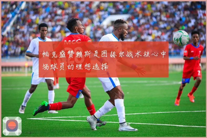 帕克盛赞赖斯是图赫尔战术核心中场球员的理想选择